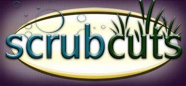 Scrubcuts on Marthas Vineyard, car detailing, lawn mowing, weeding, hauling, house cleaning, pet waste removal.